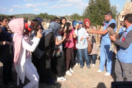 LİSİNİA’da, kuşlar dünya barışı için doğaya bırakıldı