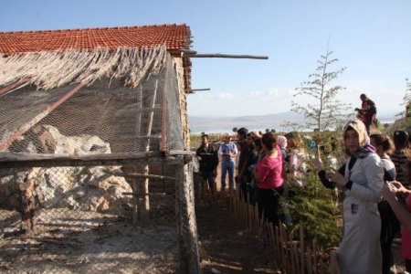 LİSİNİA’da, kuşlar dünya barışı için doğaya bırakıldı