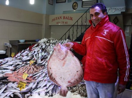Lodos, Karadeniz’i Terk Etti, Balık Fiyatları Normale Dönüyor