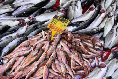 Lodos, Karadeniz’i Terk Etti, Balık Fiyatları Normale Dönüyor