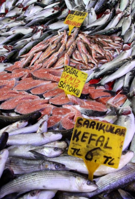 Lodos, Karadeniz’i Terk Etti, Balık Fiyatları Normale Dönüyor