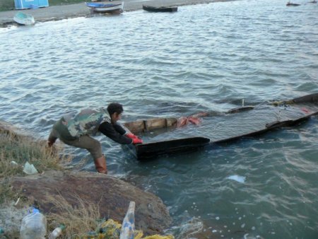 Lodos dalyanı patlattı, tonlarca balık denize kaçtı