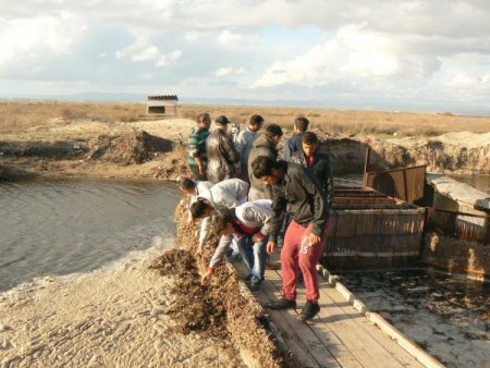 Lodos dalyanı patlattı, tonlarca balık denize kaçtı