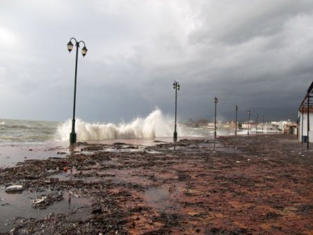 Lodosla gelen meyveleri vatandaşlar topladı