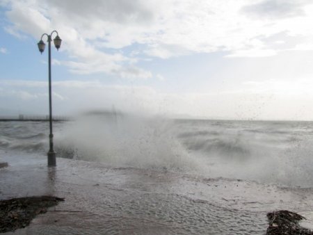 Lodosla gelen meyveleri vatandaşlar topladı