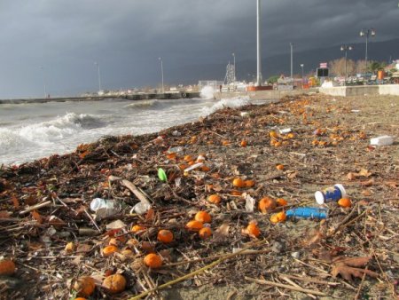 Lodosla gelen meyveleri vatandaşlar topladı