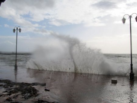 Lodosla gelen meyveleri vatandaşlar topladı