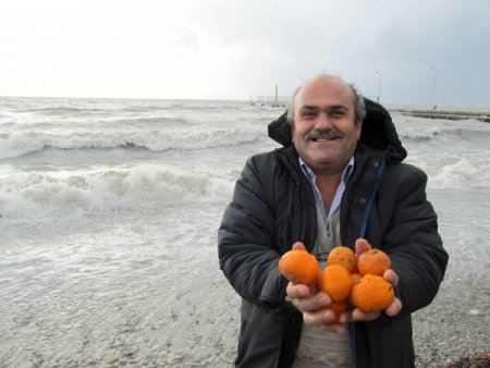 Lodosla gelen meyveleri vatandaşlar topladı