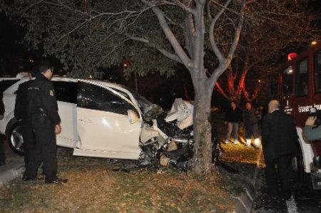 Lüks Ciplerin Yarışı Kazayla Sonlandı