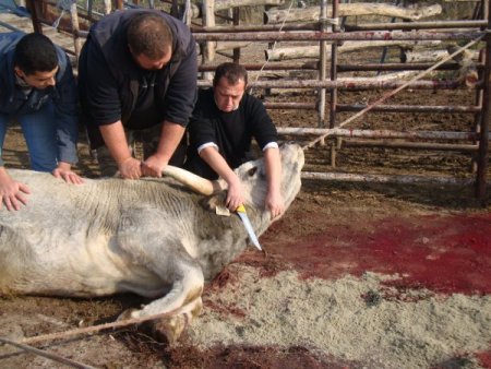 Macaristan'da Yaşayan Müslümanlar Bayramda Budapeşte'de Buluştu