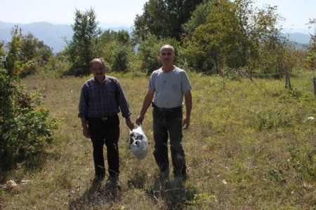 Mahalle halkı mesire alanına atılan içki şişelerinden rahatsız