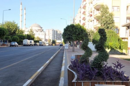 Mahalle Muhtarı Yolu Yenileyen Başkana Afişle Teşekkür Etti