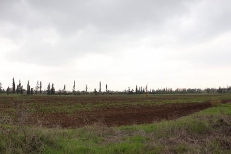 Mahkemeden Adana Btü’ye Tahsis Edilen Yerle İlgili Yürütmeyi Durdurma Kararı