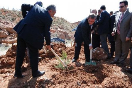 Mahkumlar Fidan Dikti