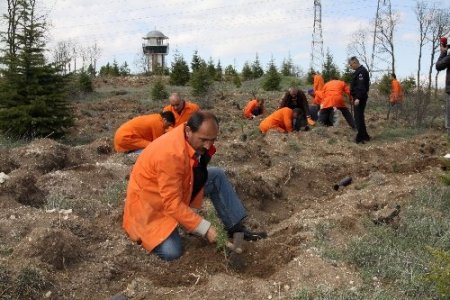 Mahkumlar umutların yeşermesi için fidan dikti
