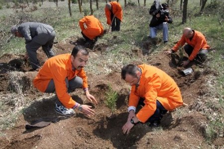 Mahkumlar umutların yeşermesi için fidan dikti