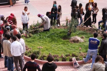 MAKÜ öğrencileri çiçek ve fidan dikti