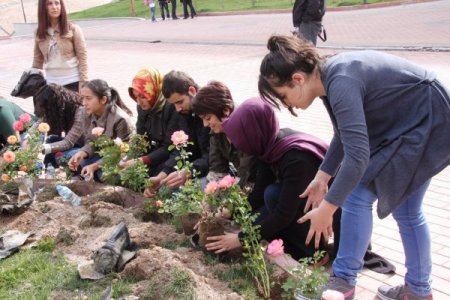MAKÜ öğrencileri çiçek ve fidan dikti
