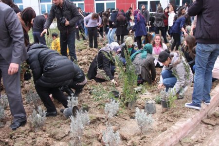 MAKÜ öğrencileri içecekleri bitki çaylarını okulda yetiştirecek