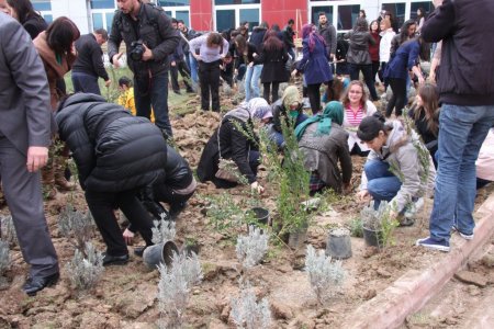 MAKÜ öğrencileri içecekleri bitki çaylarını okulda yetiştirecek