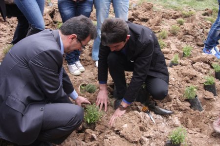 MAKÜ öğrencileri içecekleri bitki çaylarını okulda yetiştirecek