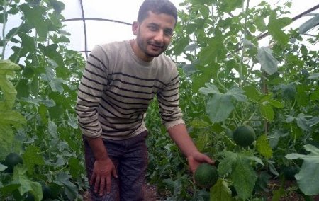 Makul fiyat, bol ürün çiftçiye daha çok para kazandırdı