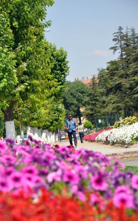Malatya Caddeleri Rengarenk Oldu