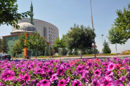 Malatya Caddeleri Rengarenk Oldu