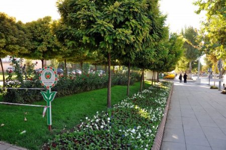 Malatya sokakları menekşelerle süslendi