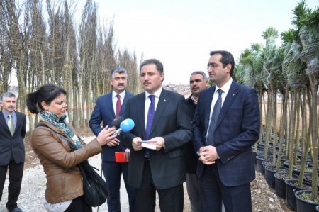 Malatya'da Kent Merkezine 2 Bin 200 Ağaç Dikilecek