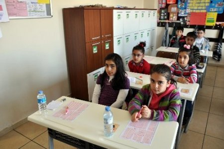 Malatya'da öğrenciler BEMOLİS'te ter döktü