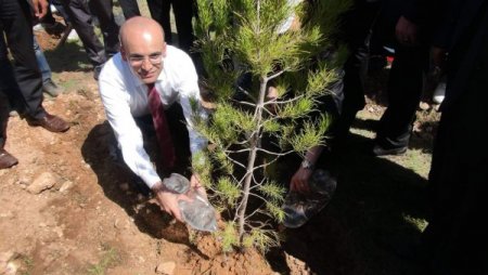 Maliye Bakanı Şimşek Batman’da Fidan Dikti