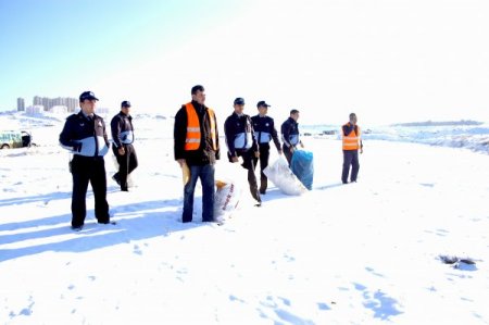 Mamak Belediyesi, kış nedeniyle sokak hayvanlarına yiyecek bırakıyor