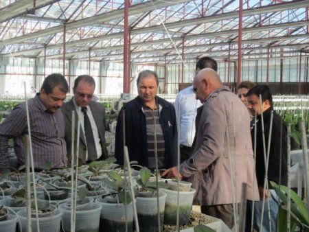 Mamak Çöplüğü orkideleri ile ünlenecek