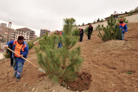 Mamak parklarına bahar geldi