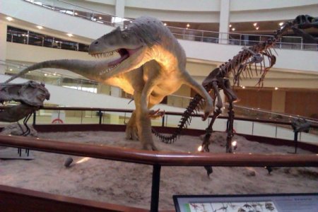 Mamaklı öğrenciler Tabiat Tarihi Müzesi’ni gezdi