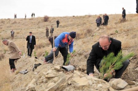 Mamak'ta fidan dikme şenliğinde bin fidan toprakla buluştu