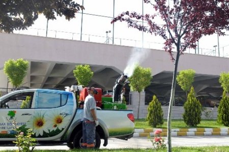 Mamak’ta haşerelere karşı 5 ekiple mücadele