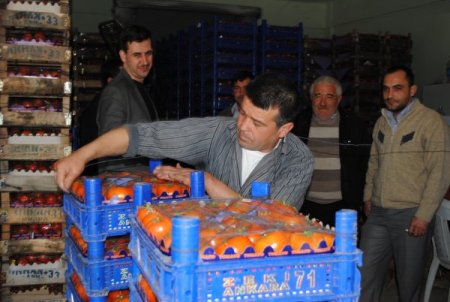 Manavgat Domatesi Kış Döneminde 1 Liradan Alıcı Buldu