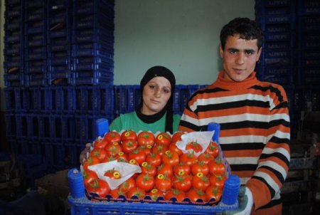 Manavgat Domatesi Kış Döneminde 1 Liradan Alıcı Buldu