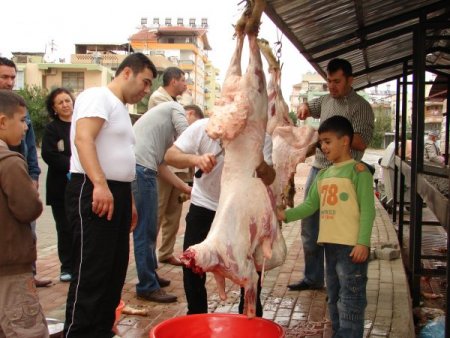 Manavgat HEM, 200 kişiye kurban kesim belgesi verdi