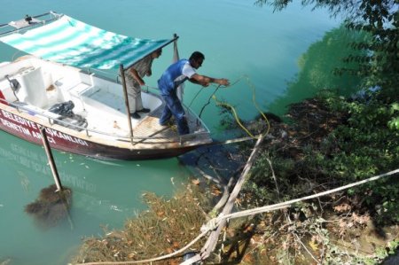 Manavgat Irmağı'ndaki görüntü kirlilikleri kaldırılıyor