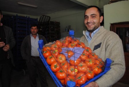 Manavgat Kontrollü Tarım Uygulamasının İlk Yılında Yüzde 100 Başarı Elde Etti