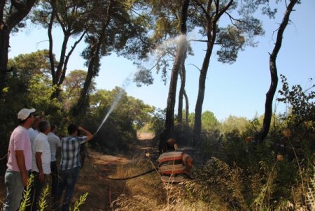 Manavgat Sorgun Çamlığı'nda çıkan söndürüldü