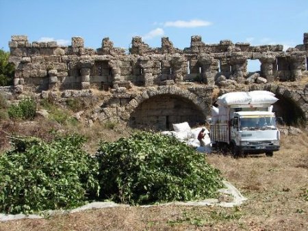 Manavgat'ın Köyleri, Koruma Altına Alınan 'defne' İle Kalkınacak