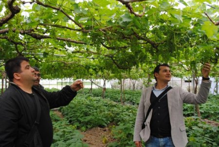 Manavgatlı Çiftçilere 'Bilinçli Tarım Uygulaması' Eğitimi