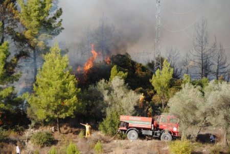Manavgat'ta 3 ayda 20 dönümlük ormanlık alan yandı