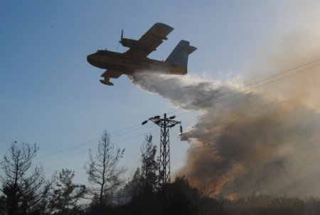 Manavgat'ta 3 ayda 20 dönümlük ormanlık alan yandı