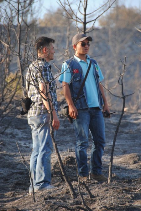 Manavgat'ta 3 ayda 20 dönümlük ormanlık alan yandı