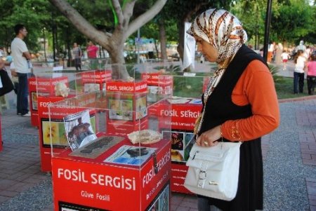 Manavgat'ta 400 milyon yıllık fosil sergisi açıldı